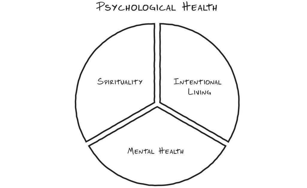 Psychological Health - The Sobriety Success Method